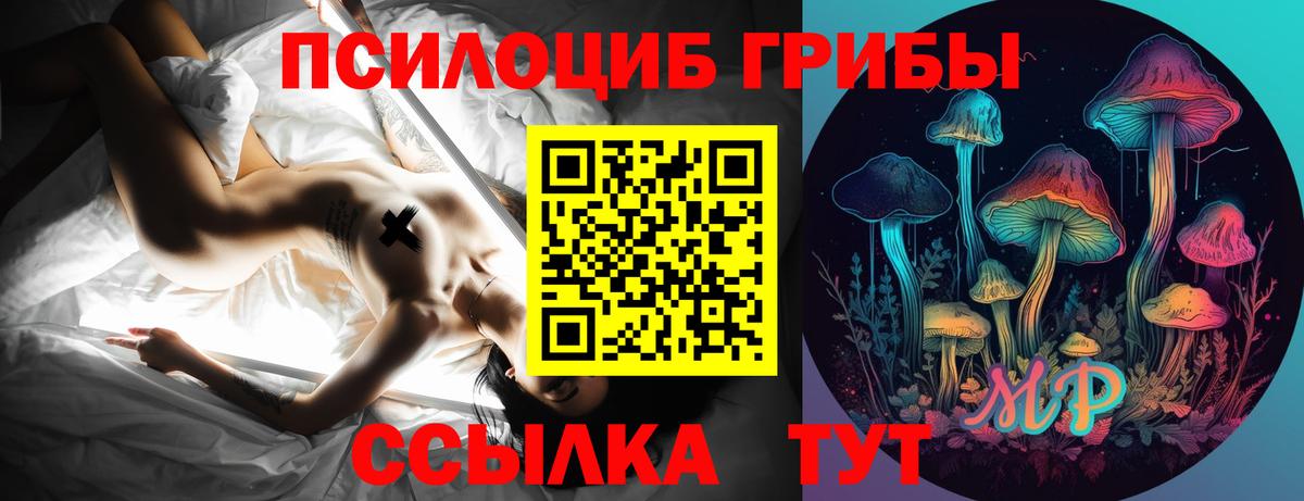 Галлюциногенные грибы GOLDEN TEACHER Котовск