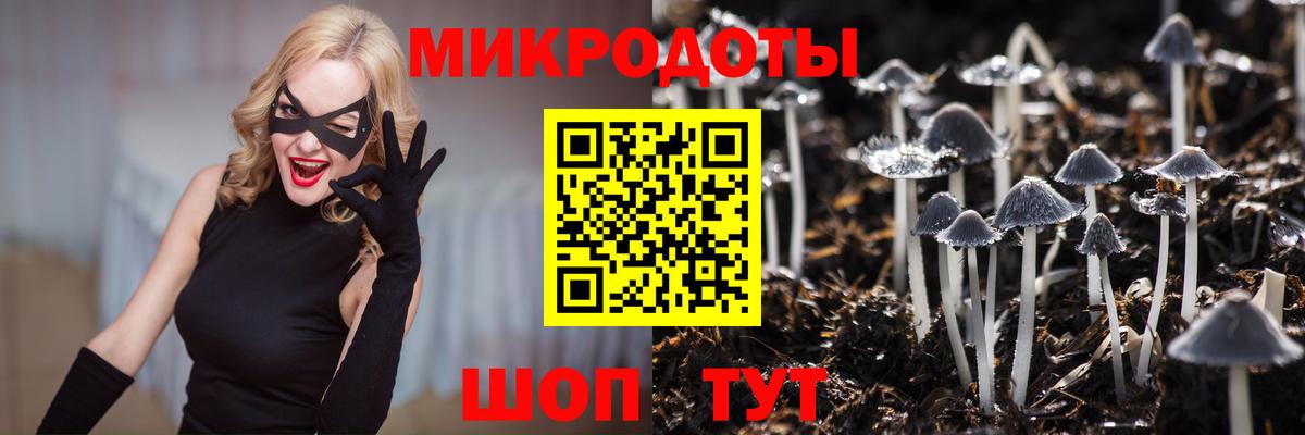 Псилоцибиновые грибы Psilocybe  Псилоцибиновые грибы Magic Shrooms  купить наркоту  Котовск  Вход с VPN 